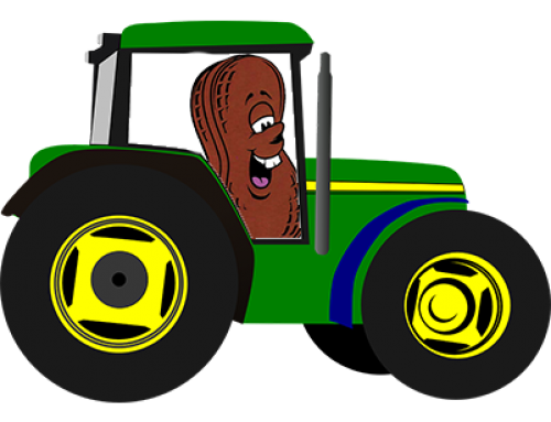 PBF – Tractor Show